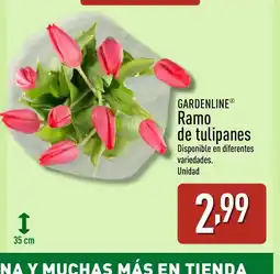 ALDI GARDENLINE Ramo de tulipanes oferta