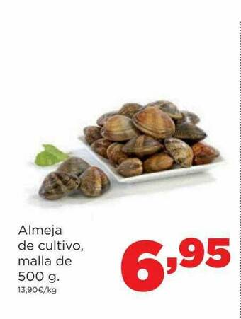 Alimerka Almeja De Cultivo oferta