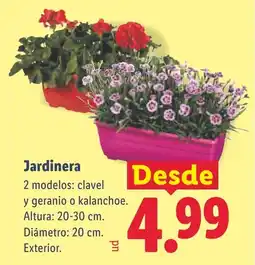 Lidl Jardinera oferta
