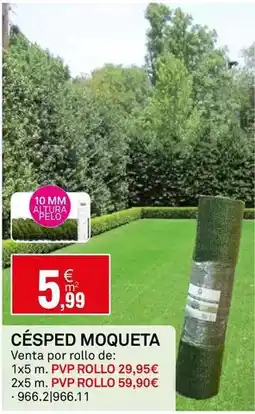 Bricoking Césped oferta