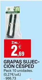 Bricoking Grapas sujec- cion cesped oferta