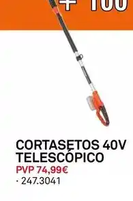 Bricoking Cortasetos 40v telescopico oferta