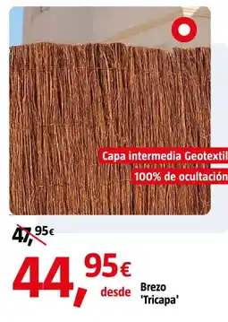 Bauhaus Brezo 'Tricapa' oferta