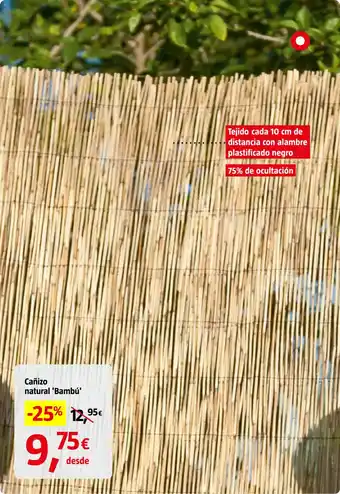 Cañizo natural 'Bambú'