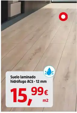 Bauhaus Suelo laminado hidrófugo AC5 - 12 mm oferta