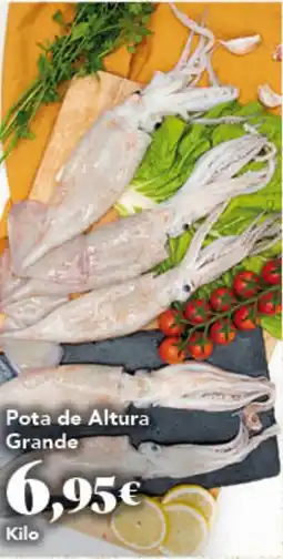 Gadis Pota de Altura Grande oferta