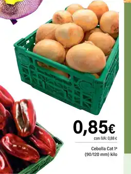 Cash Ifa Cebolla oferta