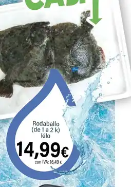Cash Ifa Rodaballo oferta