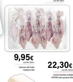 Cash Ifa Calamar del Cabo oferta