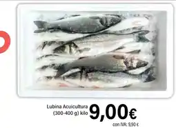 Cash Ifa Lubina Acuicultura oferta