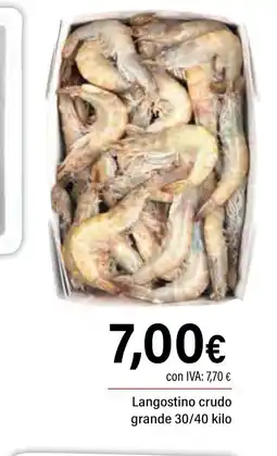 Cash Ifa Langostino crudo grande oferta