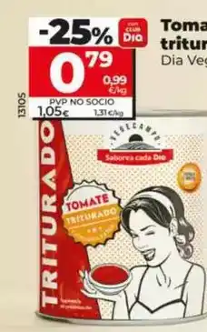 Dia Dia vegecampo - tomate triturado extra oferta