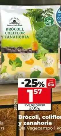 Dia Dia vegecampo - brócoli, coliflor y zanahoria oferta