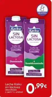 FROIZ Kaiku - leche sin lactosa oferta