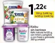 FROIZ Kaiku - sin lactosa oferta