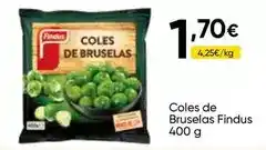 FROIZ Findus - coles de bruselas oferta
