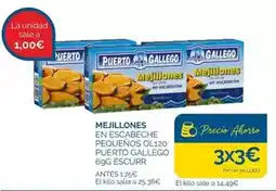 Cash Ecofamilia Gallego - mejillones en escabeche pequeños oferta