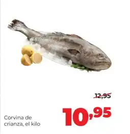 Alimerka Corvina de crianza oferta