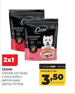Alimerka CESAR Comida con buey y ave o pollo y salmón para perro oferta