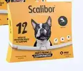 Scalibor - mesa de poteçonne front