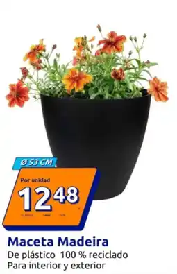 Action Maceta Madeira oferta