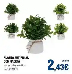 Makro Planta artificial con maceta oferta