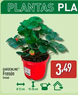 ALDI GARDENLINE Fresón oferta