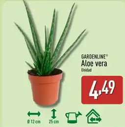 ALDI GARDENLINE Aloe vera oferta
