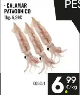 Family Cash Calamar patagónico oferta