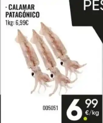 Family Cash Calamar patagónico oferta