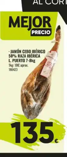 Family Cash Jamón cebo ibérico 50% raza ibérica l. puerto oferta