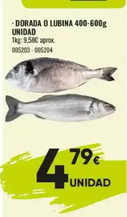 Family Cash Dorada o lubina oferta