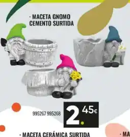 Family Cash Maceta gnomo cemento surtida oferta