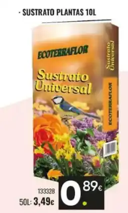 Family Cash Sustrato plantas oferta