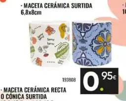 Family Cash Maceta cerámica surtida oferta