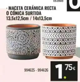 Family Cash Maceta cerámica recta o cónica surtida oferta