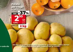 Dia Patata per fregir oferta