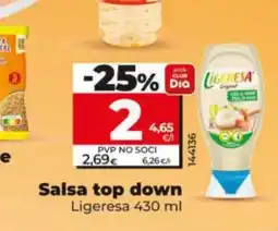 Dia LIGERESA Salsa top down oferta