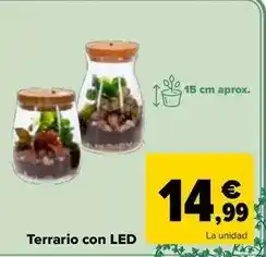 Carrefour Terrario con led oferta