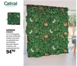 Optimus Catral - sauvage oferta