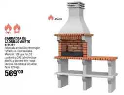 Optimus Barbacoa de ladrillo aneto oferta