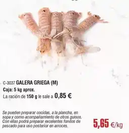 Abordo Galera griega oferta