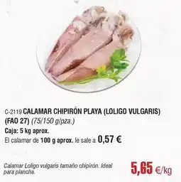 Abordo Ideal - calamar chipirón playa (loligo vulgaris) oferta