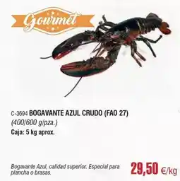 Abordo Gourmet - bogavante azul crudo oferta