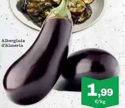 Sorli Albergínia d'Almeria oferta