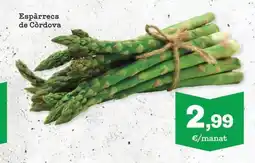 Sorli Espàrrecs de Còrdova oferta