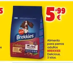 TOP Cash & Carry BREKKIES Alimento para perros adultos Delicious oferta
