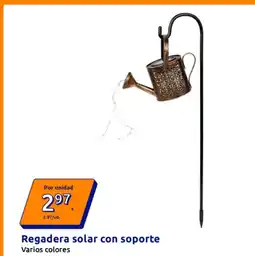 Action Regadera solar con soporte oferta