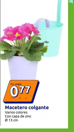 Action Macetero colgante oferta