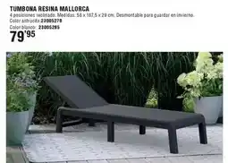 Optimus Tumbona resina mallorca oferta